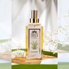 Home Spray Capim Limão 250ml