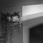 Home Suspenso Para Tv Los Angeles Valdemóveis Ipê/off White