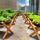 Horta Suspensa - Estrutura Para Plantar