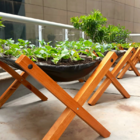 Horta Suspensa - Estrutura Para Plantar