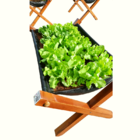 Horta Suspensa - Vaso Jardineira Floreira