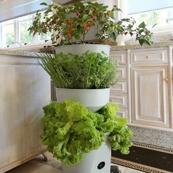 Horta Vertical Auto Irrigável Verde Vida - Acompanha Rodízio