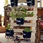 Horta Vertical Gourmet - Treliça Natural 100x60cm com 6 Vasos