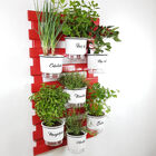 Horta Vertical Gourmet - Treliça Vermelha 100x60cm com 7 Vaso