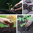 Humus De Minhoca 2 0kg Substrato Adubo Orgânico Fertilizante