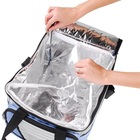 Ice Cooler Bolsa Térmica 36 Litros Cinza/preto