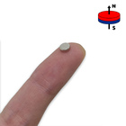 Ima De Neodímio / Super Forte / 5mm X 1 5mm - 50 Peças