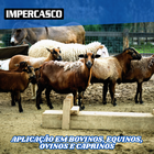 Impercasco Imperm. Fixador E Protetor De Atadura 4un 0,500kg