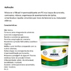 Impermeabilizante Em Pó 10kg Vbrasil Para Cimento Argamassa N