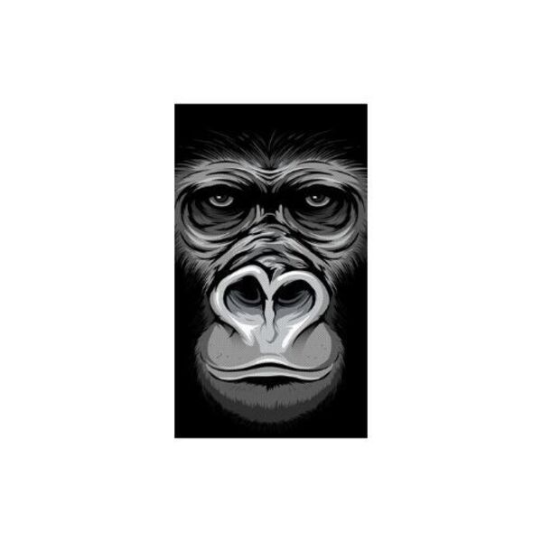 Impressão Canvas Decorativo Gorila 30x52