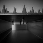 Inibidor De Acesso Dracone