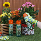 Inseticida Aerossol Jardim 300ml Dimy