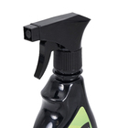 Inseticida Mata Formigas 500ml Forth