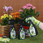 Inseticida Mata Lagartas 500ml Forth