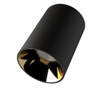 Interno de Plafon 1 Lâmpada Rose Plástico Luminatti