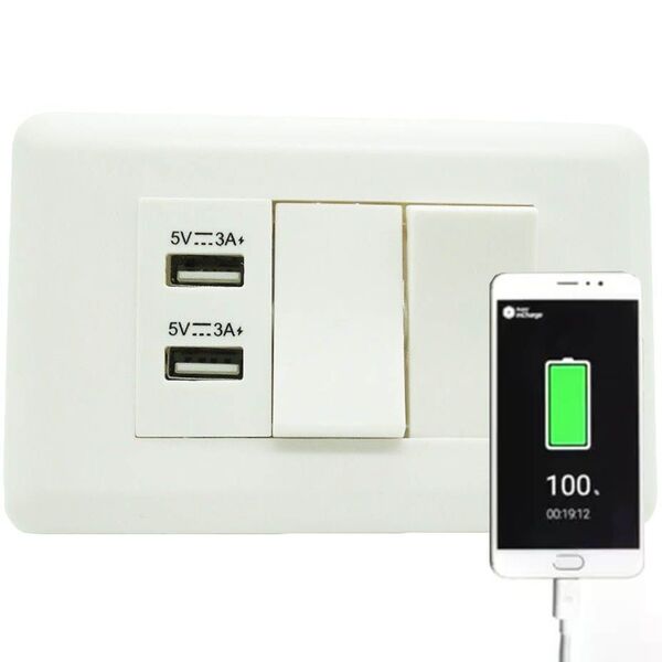 Interruptor Duplo 2 Portas Usb Celular Adaptador Parede