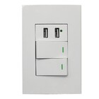 Interruptor Duplo De Parede Com 2 Portas Carregador Usb