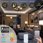 Interruptor Inteligente Dimmer Touch  1 Canal Wi-fi  Ekaza