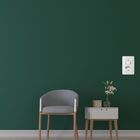 Interruptor Mill 1simp+1tom 2p+t C-pl 10a-250 39045str-e9pbm