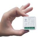 Interruptor Mini Inteligente Paralelo 1ch 10a Alexa Google