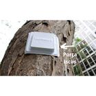 Isca Mata Cupim - Cupinout Modelo A  - Caixa Contendo 04 Port