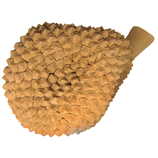 Jaca em Cerâmica PP - Adriana de Capela