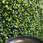 Jardim Placa Vertical 50cm x 50cm