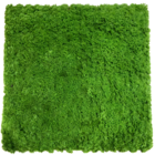 Jardim Placa Vertical Musgo 50cm x 50cm