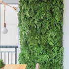 Jardim Vertical De Folhagem Variada Desidratada (sob Medida)