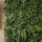 Jardim Vertical De Folhagem Variada Desidratada (sob Medida)