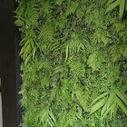 Jardim Vertical De Folhagem Variada Desidratada (sob Medida)