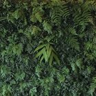 Jardim Vertical De Folhagem Variada Desidratada (sob Medida)