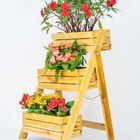 Jardim Vertical Escadinha Gigante com 03 Cachepos Gigantes -