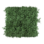 Jardim Vertical Fibra Natural Verde Avença 100x100cm Artesanal Teares