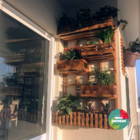 Jardim Vertical - Floreira Jv27