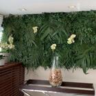 Jardim Vertical Muro Inglês Variado Preservado Desidratado