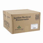 Jardim Vertical Preservado Verde Mix Variado 100x100 cm