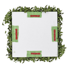 Jardim Vertical Preservado Verde Mix Variado 100x100 cm