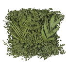 Jardim Vertical Preservado Verde Mix Variado 100x100 cm