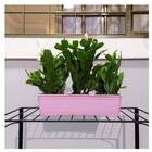 Jardineira Aquarela 30 (1,9l) Rosa Bebê Nutriplan