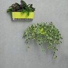 Jardineira Autoirrigável Raíz - 40cm Vermelho