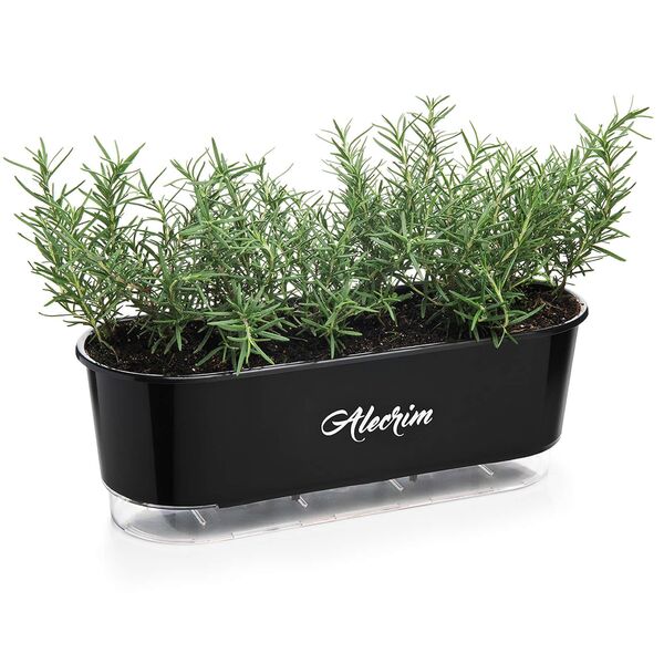 Jardineira Autoirrigável Raiz - Gourmet - Preto - Alecrim