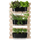 Jardineira Autoirrigável Raiz - Gourmet - Preto - Alecrim