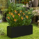Jardineira Baixo em Metal 60x22x19cm de Chão e Parede Preto Flower Maxeb