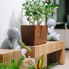 Jardineira Classic 80 Ferrugem (80l) Nutriplan