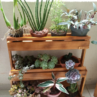 Jardineira De Chão, Suporte Para Plantas, Floreira Madeira P13