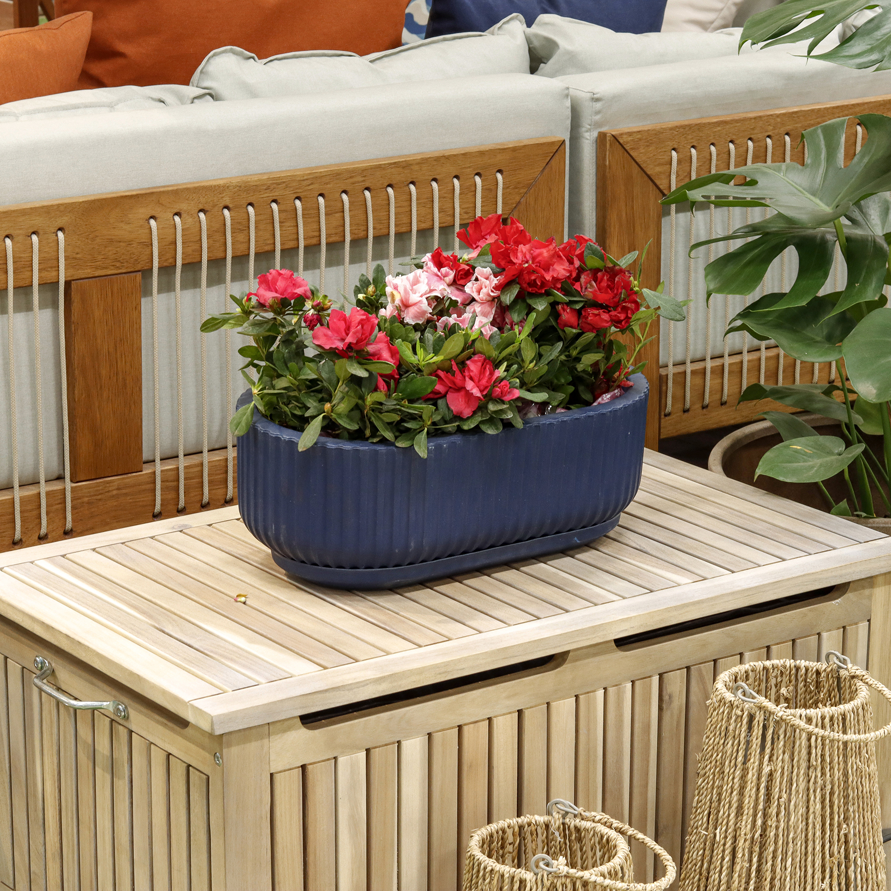 Jardineira Macaúba Flora da Naterial