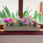 Jardineira para Plantas em Polietileno 80x15cm Havana Bege