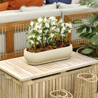 Jardineira Pequena em Plástico 12x50cm com Prato Areia Naterial
