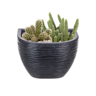 Jardineira Plástico de Parede Preto 17x25cm Floridis